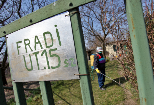 <h1>A szurkolók rajongása is megjelenik utcatábláinkon</h1>-