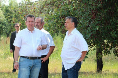 Szentivánéji valóság