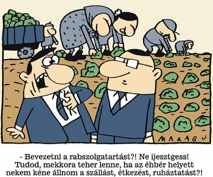 – Bevezetni a rabszolgatartást?! Ne ijesztgess! Tudod, mekkora teher lenne, ha az éhbér helyett nekem kéne állnom a szállást, étkezést, ruháztatást?!
MARABU rajza
 — Marabu rajza