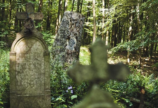 <h1>A vadregényes körtvélyesi temetőt a Kéktúra útvonala is érinti (Ancsin Gábor felvétele)</h1>-