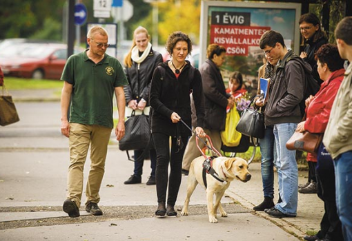 <h1>Tantárgy a buszmegálló. Aki tanít: dr. Mezősi Tamás, a baráthegyi kutyaiskola vezetője, akik majd együtt vizsgáznak: Maja és Pax</h1>-