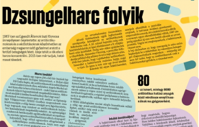 Hatalmas tévedés volt, hogy véget ért a küzdelem - Dzsungelharc folyik