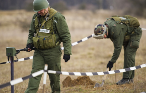 Bombaveszélyes erdők - újabb második világháborús robbanószerkezetet találtak