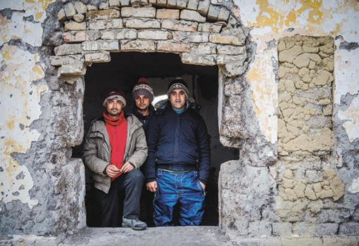 <h1>Abdul (balról az első) és barátai fél éve várnak a megfelelő alkalomra a Horgos melletti gazdaságban - Fotó: Draskovics Ádám</h1>-