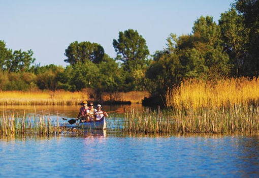 <h1>Tisza-tavi madárrezervátum. Tiszafüred, Poroszló, Sarud - Fotó: Kállai Márton</h1>-