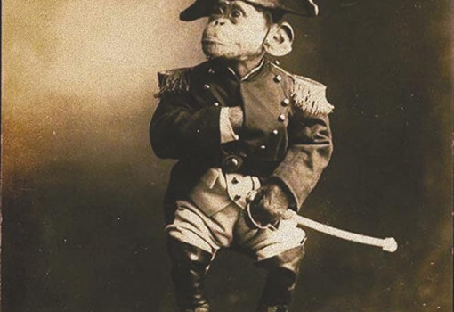 <h1>Hartlepool - a Napóleon kémének nézett, és felakasztott majom esete - Illusztráció</h1>-