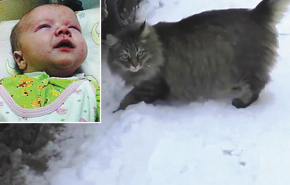 Váratlan segítséget kapott a jeges éjszakában az elhagyott csecsemő