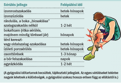 <h1>Sérülés jellege és a várható felépülési idő</h1>-