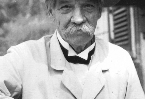 <h1>Albert Schweitzer</h1>-