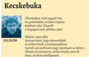 Lesi Zoltán: Kecskebuka