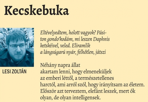 <h1>Lesi Zoltán költeménye - VH, 2017. június 17.</h1>-