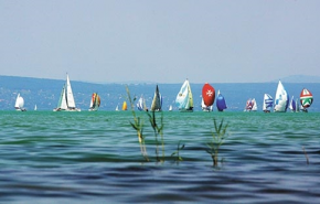 Egy mancsaft jelentése a Balatonról