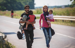 Menekültáradat délről - Tudósításunk a határ szerbiai oldaláról