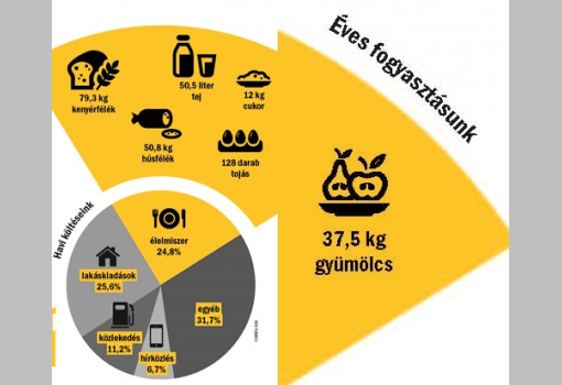 <h1>Éves fogyasztásunk és havi költéseink</h1>-