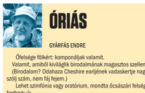 Gyárfás Endre: Óriás