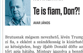 Avar János: Te is fiam, Don?!