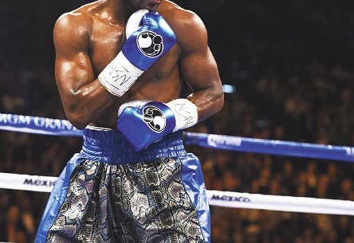 <h1>Floyd Mayweather Jr.</h1>-