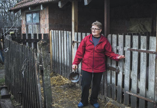 <h1>Tényi Katalin:
Minden
munkát meg
kell becsülni - Fotó: Ujvári Sándor</h1>-