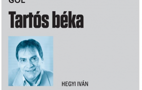 Hegyi Iván: Tartós béka