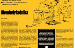 Illemhelykrónika - November 19-e világnap